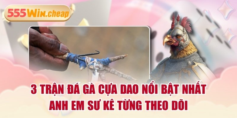 Sức hút mãnh liệt của thể loại đá gà cựa dao trực tuyến